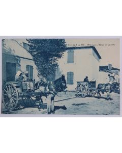 CPA Charente-Maritime Île de Ré Attelages Ânes en culotte