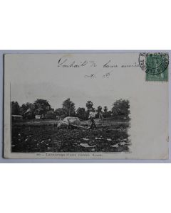 CPA Indochine Labourage d'une rizière Laos