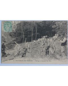 CPA Les Forêts du Morvan Abatage et transport des bois