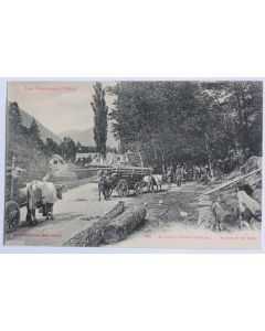 CPA Hautes-Pyrénées St-Lary Transport du bois