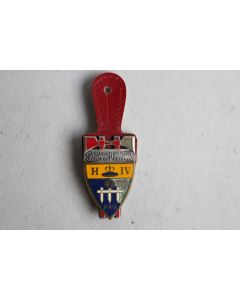 Insigne Pompier Pau (Pyrénées)