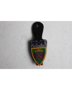 Insigne Pompier Surgères (Charente-Maritime)