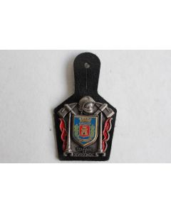 Insigne Pompier Gaillon (Eure)