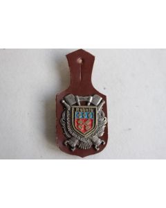 Insigne Pompier Rebais (Seine-et-Marne)