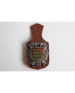 Insigne Pompier Pons (Charente-Maritime)