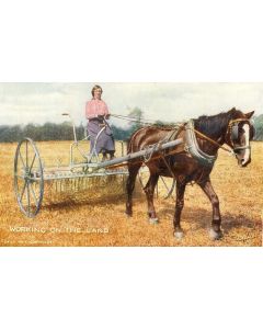 CPA Agriculture Culture Working on the land Cheval Femme agricultrice travail aux champs