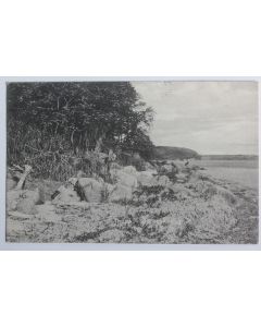 CPA Danemark Thurø Østerskoven