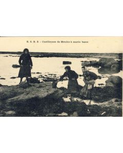 CPA Cueilleuses de Moules à marée basse Bretagne