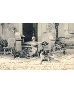 CP Suisse Vaud Lausanne Voiture attelage à chiens chien enfant Le petit dompteur