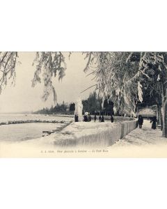 CPA Suisse Genève Bise Glaciale - Le Port Noir animé