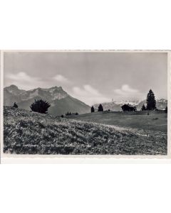 CP Suisse Vaud Les Ecovets Glacier du Trient et Dents de Morcles