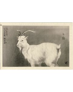 CPA Carte Postale illustrée Signe chinois Année du CHEVRE
