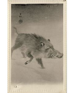 CPA Carte Postale illustrée Signe chinois Année du COCHON sauvage Sanglier