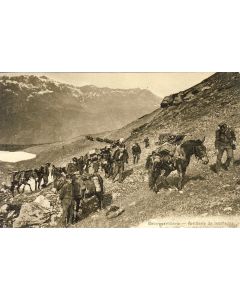 Carte Postale ancienne Artillerie de montagne Gebirgsartillerie