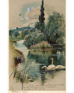 CPA animaux Oiseaux En relief Cygnes avec effets de brillance 1903 Rare