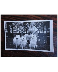 CP Photo Animaux Chien de race Concours Élevage 1936
