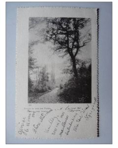 CPA Suisse Genève Sentier du Bois des Frères Vernier