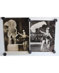 Photo cirque Annie Cordy Ours savant chien