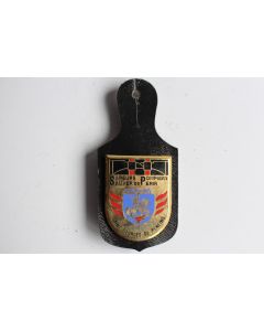 Insigne Pompier Saint Georges de Reneins