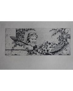 Gravure lithographiée G. Alaux XIXe siècle