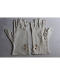 Gants montres DeLaneau (M)