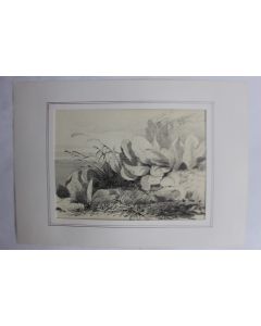 Dessin original au crayon 