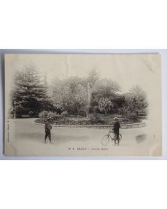 Carte postale ancienne Blida Jardin Bizot Algérie