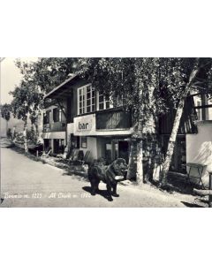 CP Italie Italia Lombardia Sondrio BORMIO Al Ciuck Bar restaurant Chien