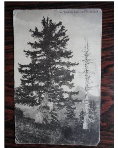 CP Suisse Fribourg La Dent de Lys vue du Molard 1919