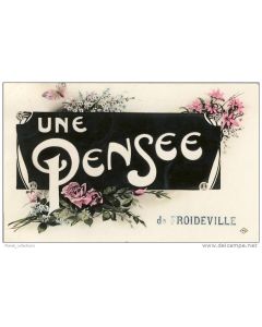 CP Suisse Vaud Froideville Une pensée de Froideville Fleurs