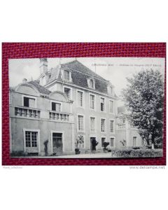 CPA 01 AIN CEYZERIEU - Château de Vaugnes 1909