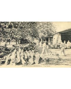 CPA 38 ISERE Saint Alban du Rhône La Scierie