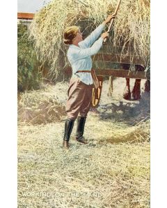 CPA Agriculture Culture Femme paysanne Working on the land women Char à foin Oilette