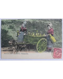 CPA Belgique Bruxelles Laitières Flamandes Attelage de chiens