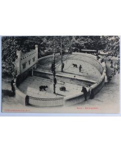 CPA Berne Bärengraben Fosse aux Ours Suisse