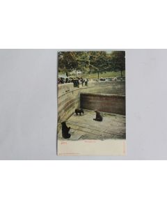 CPA Berne Bärengraben Fosse aux Ours Suisse