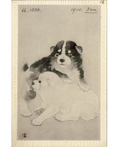 CPA Carte Postale illustrée Signe chinois Année du CHIEN
