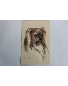 CPA illustrée Gauli Chien Pekingese Pékinois