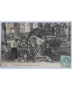 CPA Loir-et-Cher Sologne Bûcherons dans une vente