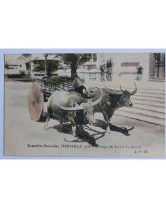 CPA Marseille Exposition coloniale Attelage de Bœufs Tonkinois