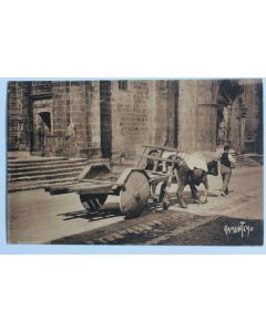 CPA Pyrénées-Atlantiques Urrugne Attelage basque Ramuntcho