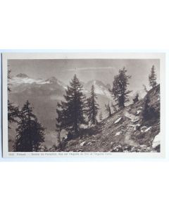 CPA Sentier de Fenestral Aiguille Dru Aiguille Verte Valais Suisse