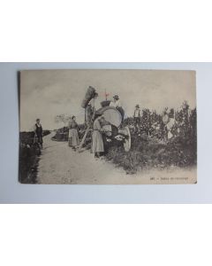 CPA Suisse Scènes Vaudoise n°407 Scène de vendange
