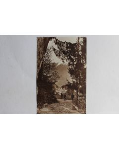 CPA Sur le chemin des Marécottes Salvan Valais Suisse