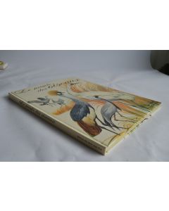 LE PEUPLE DES OISEAUX. R.PORTER ALLEN 1965