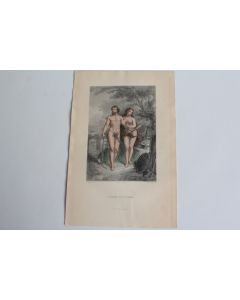 Gravure BUFFON L'Homme et la Femme XIXe siècle