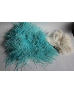 Anciennes Plumes d'autruche
