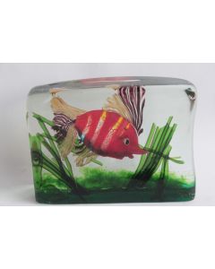 MURANO Aquarium Poisson verre Gino Cenedese