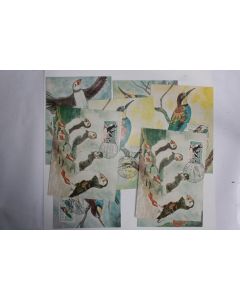 Lot 8 Carte Maximum oiseaux guepier et macareux 1960