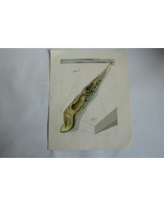 SALVADOR DALI Lithographie La divine comédie Blasphémateurs
